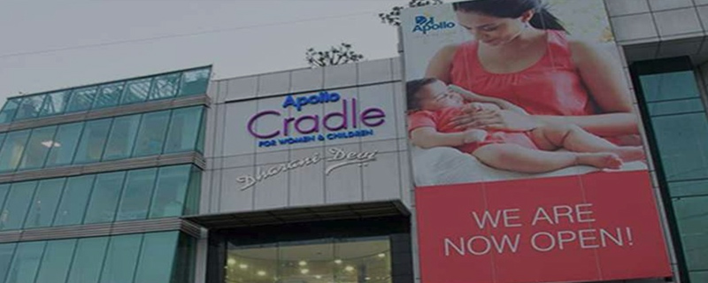 The Cradle 